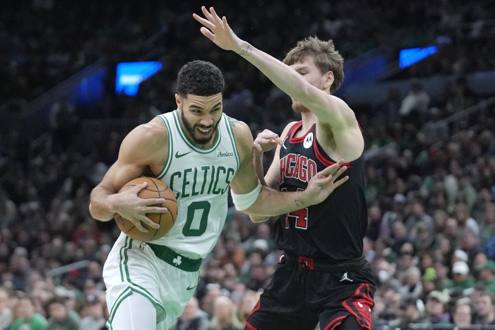 本土精英 本土精英